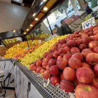 کارگر بساط زن میوه فروشی