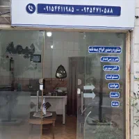 صدور انواع بیمه نامه|خدمات مالی، حسابداری، بیمه|بجنورد, |دیوار