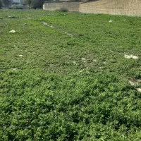 فروش زمین ۲۱۰ متری پشت بیمارستان قلعه خمیسی|فروش زمین و ملک کلنگی|باغ ملک, |دیوار