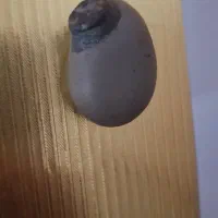 سنگ خیلی خیلی قدیمی