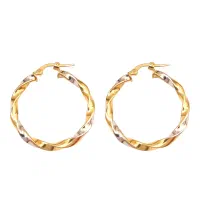 گوشواره پیدا شده