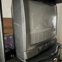 میز تلوزیون|میز تلویزیون|رشت, کاکتوس|دیوار