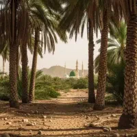 زمین-کشاورزی