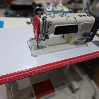 راسته فول در حد