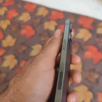 اپل iPhone 12 Pro Max با حافظهٔ ۵۱۲ گیگابایت|موبایل|شیراز, شهرک ولیعصر|دیوار