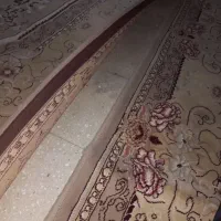 قالی دست دوم یک جفت|فرش|کاشان, سرپله جدید|دیوار