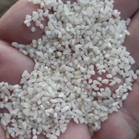 برنج نیمدانه هاشمی گیلان پاک شده و معطر با کیفیت