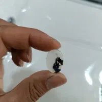 سنگ شجر