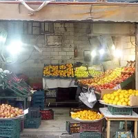 اجاره مغازه میوه فروشی|اجارهٔ مغازه و غرفه|تهران, امام زاده عبدالله|دیوار