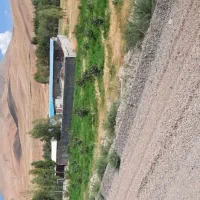 اجاره گاوداری