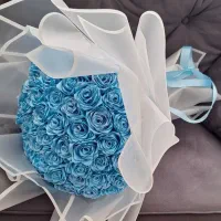 تولد و خواستگاری