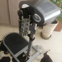 ویبره ایستاده شکم و پهلو