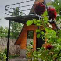 اجاره کلبه سوئیسی تک خواب