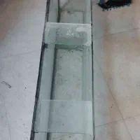 آکواریوم|ماهی|تربت جام, کلالی|دیوار