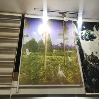 فرش /موکت/کناره/زبرا/فرش طرح کودک|فرش|تهران, جنتآباد جنوبی|دیوار