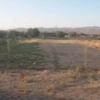فروش زمین در چغوک آباد