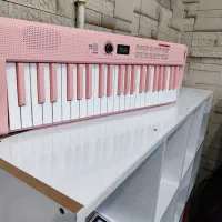 پیانو تاشو SUZUKI|پیانو، کیبورد، آکاردئون|شوش, |دیوار