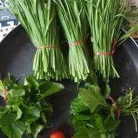 ،سبزی محلی،لوبیا چیتی،پاچ باقلا،سیر|خوردنی و آشامیدنی|رشت, کوی غلام نیا|دیوار