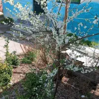 روزانه پارکینگ حیاط دربست ساعتی چند ساعت شبانه
