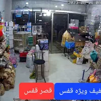 ملزومات پرندگان.دان|لوازم جانبی حیوانات|قم, پردیسان|دیوار