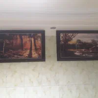 ۲عددتابلو۱۲۰در۶۰