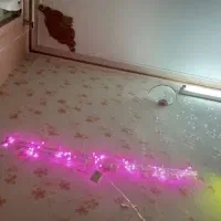 رقص نور