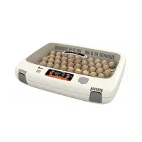 دستگاه جوجه کشی آرکام کره