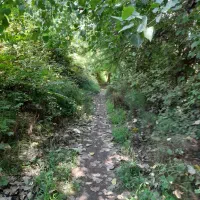 همدلی و کار منزل