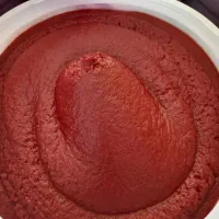 رب گوجه  ارگانیک