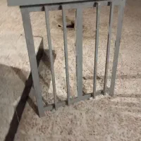 بتلتول ینبتت بخر