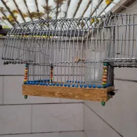 قفس تله دستساز|لوازم جانبی حیوانات|الوند, |دیوار