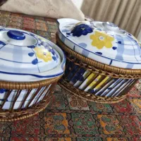 ظروف گل پنبه