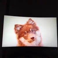 مانیتور گیمینگ MSI خمیده 2K 165Hz سایز ۲۷