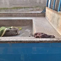 کفی عقب نیسان ورق 3میل