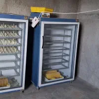 دستگاه جوجه کشی