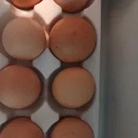 تخم مرغ سمی عالی ودرشت|خوردنی و آشامیدنی|جوادآباد, |دیوار