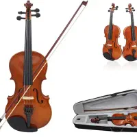 Violin phoenix
