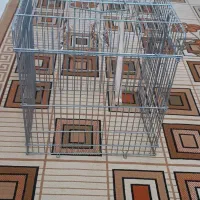 قفس|لوازم جانبی حیوانات|شاهینشهر, گرگاب|دیوار