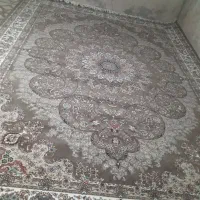 یک تخته فرش ۷۰۰ شانه ۱۲ متری