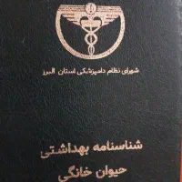 سگ پا کوتاه|سگ|کرج, فاز ۴ مهرشهر|دیوار