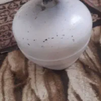 پکنیک سالم