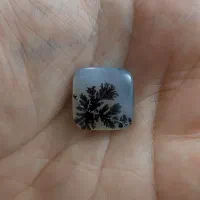 شجر قائن خاص|جواهرات|اصفهان, مهدیه|دیوار