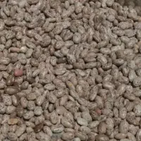 پارچه حبوبات و کلنگ تازه تازه