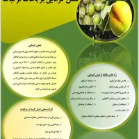 تایپ صفحات ، ساخت اسلاید و پاورپوینت ،پوستر آموزشی