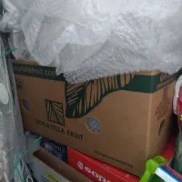 کارتن موز