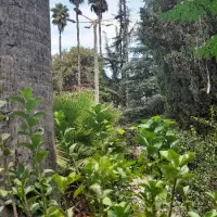 اجاره خانه کلنگی طیب