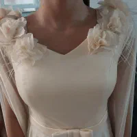 لباس مجلسی|لباس|ساری, |دیوار