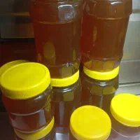 عسل گون صددرصد طبیعی و تضمین کیفیت