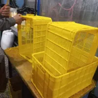 سبد حمال،۲۰کیلویی،کشمشی،گوجه،پلاستیکی|عمده‌فروشی|تهران, دولتخواه جنوبی|دیوار