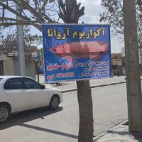 آکواریوم|ماهی|دهگلان, |دیوار
